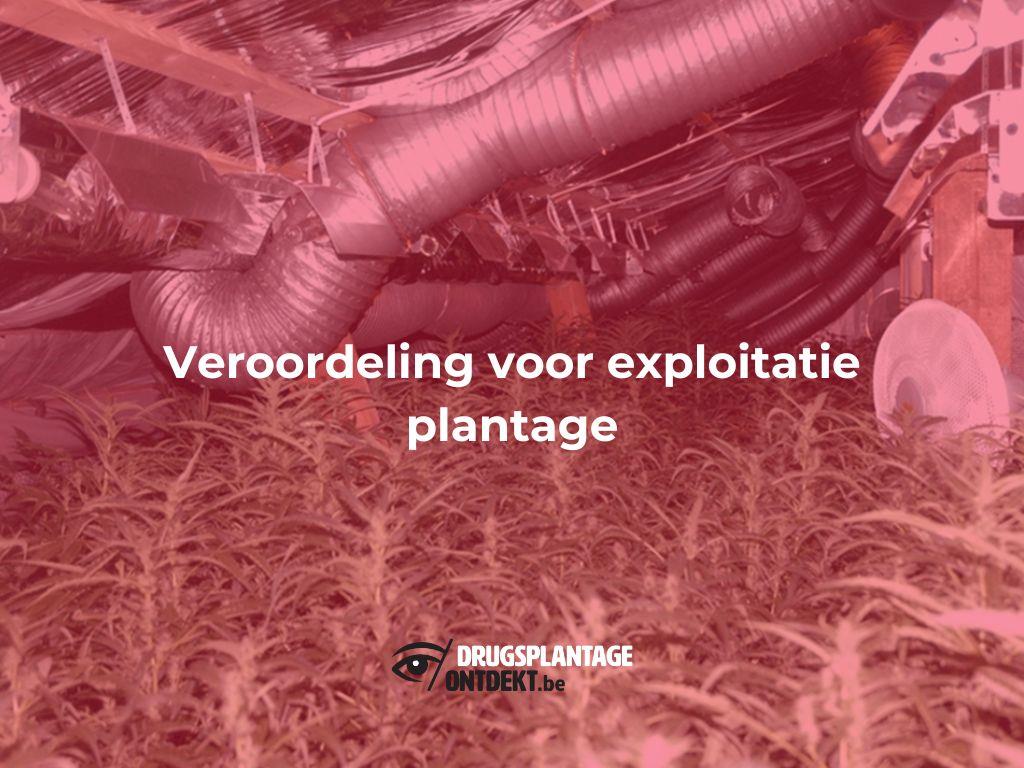 Willebroek - Veroordeling voor exploitatie plantage